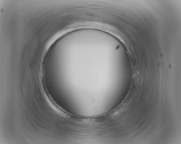 X0000081281523200701251615