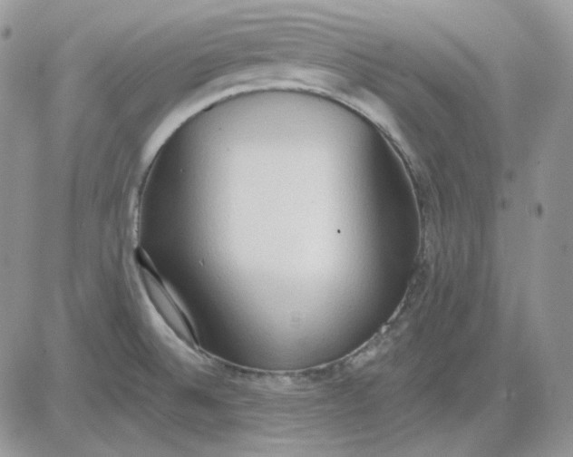 X0000081281524200701251615