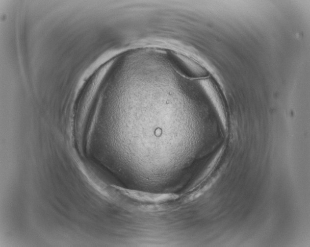 X0000081281525200701251615