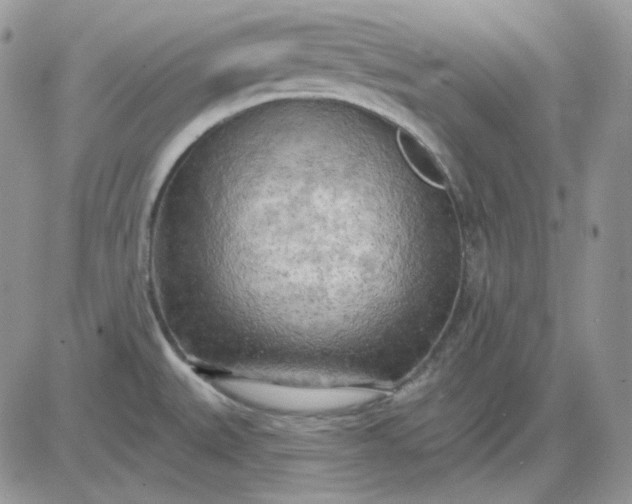 X0000081281527200701251615