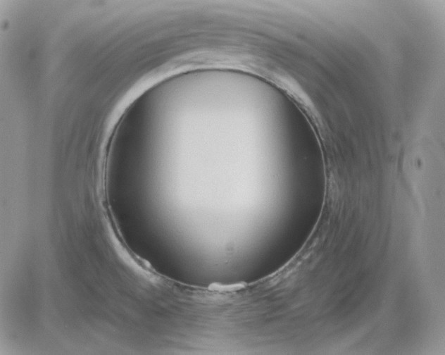 X0000081281528200701251615