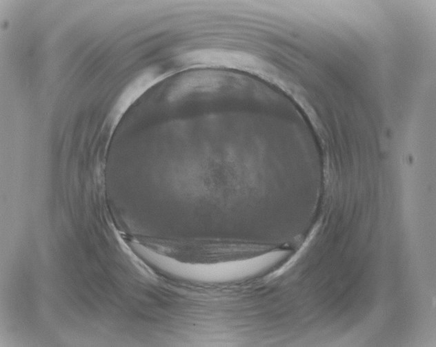 X0000081281529200701251615