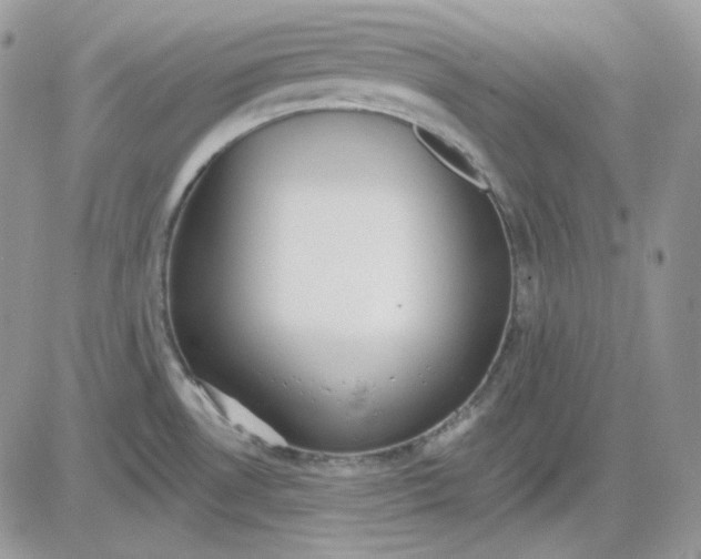 X0000081281530200701251615