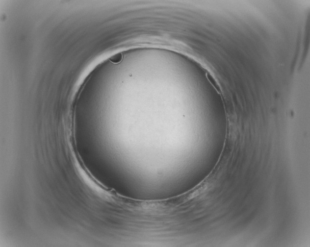 X0000081281531200701251615