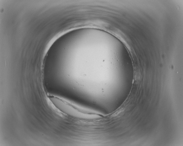 X0000081281532200701251615