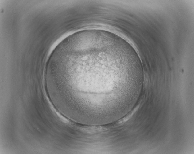 X0000081281533200701251615