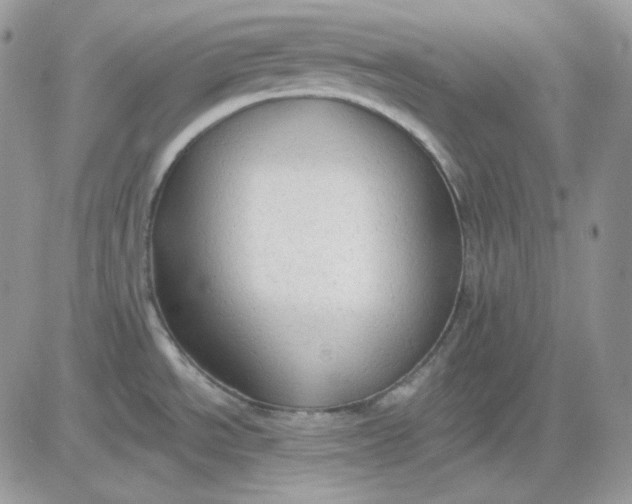 X0000081281534200701251615