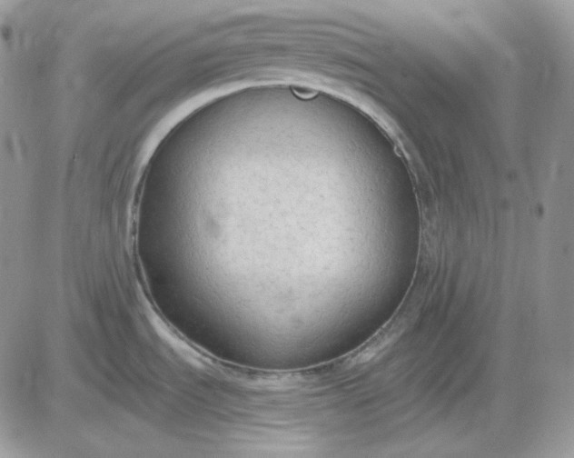 X0000081281535200701251615