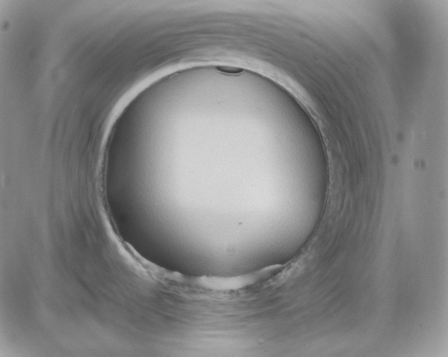 X0000081281536200701251615