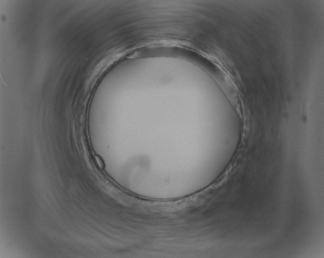 X0000081280001200702012230