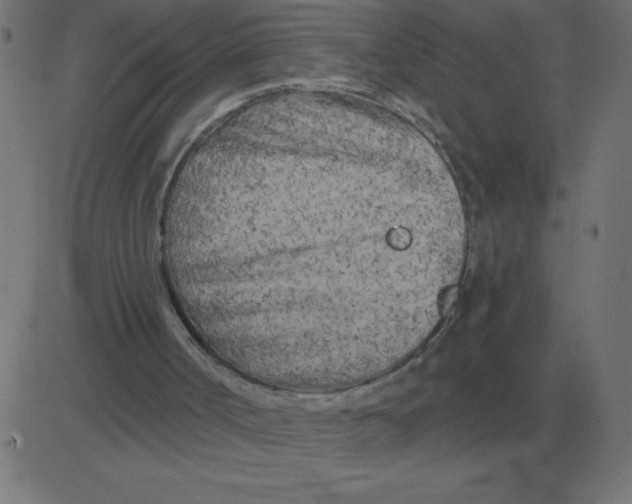 X0000081280002200702012230