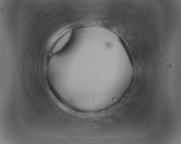 X0000081280005200702012230