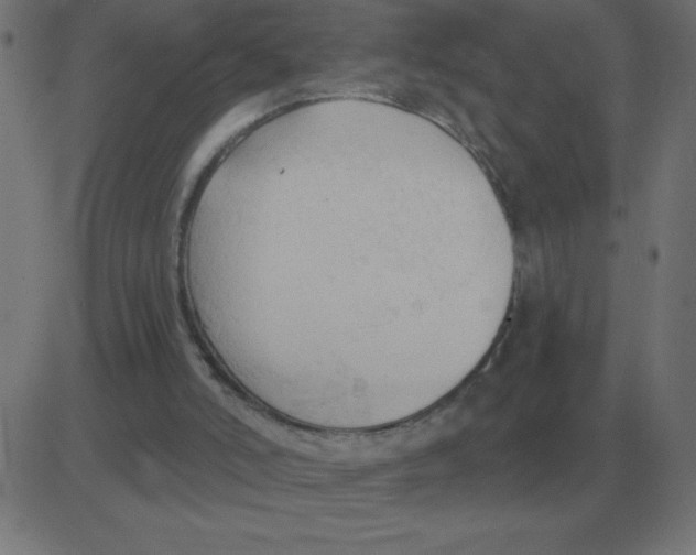 X0000081280006200702012230