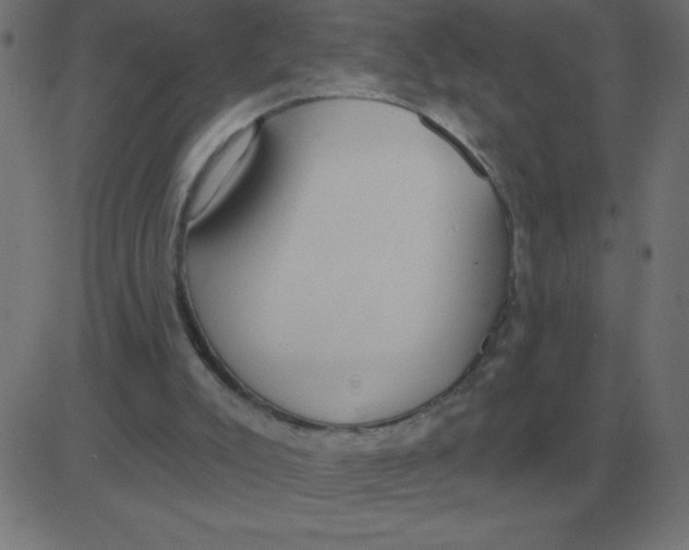 X0000081280007200702012230