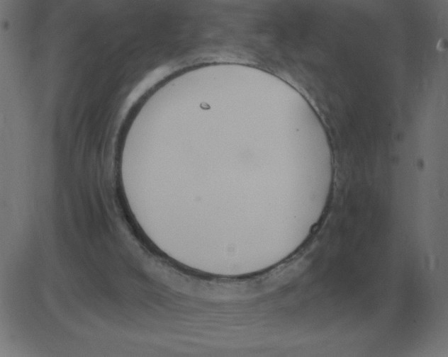 X0000081280008200702012230