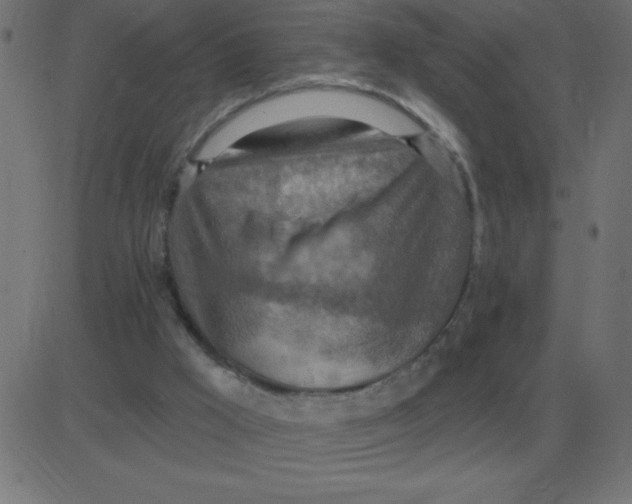 X0000081280009200702012230