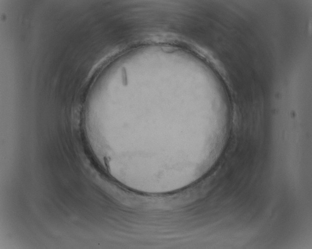 X0000081280010200702012230