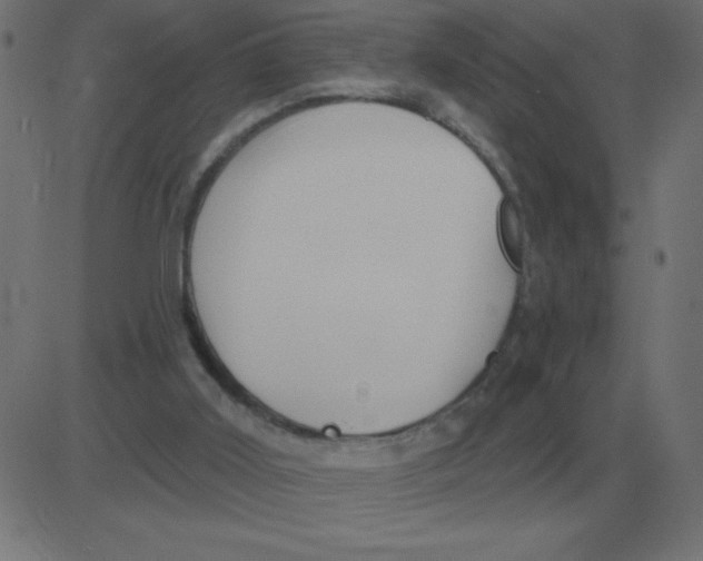 X0000081280011200702012230