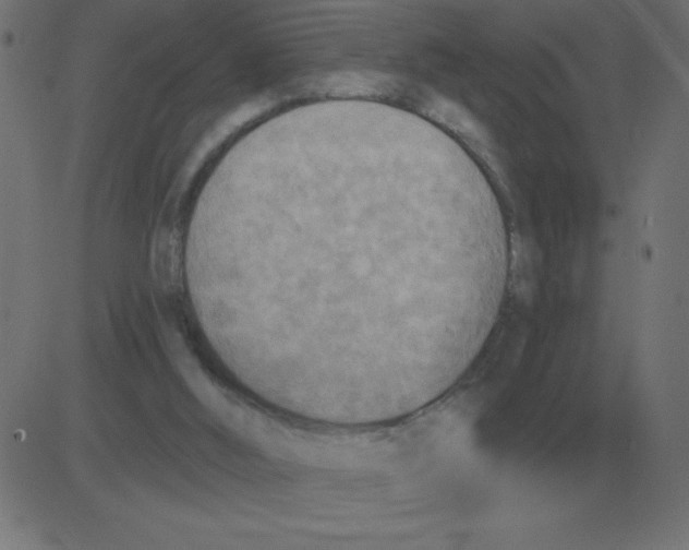 X0000081280012200702012230