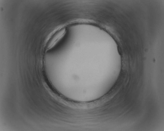 X0000081280015200702012230