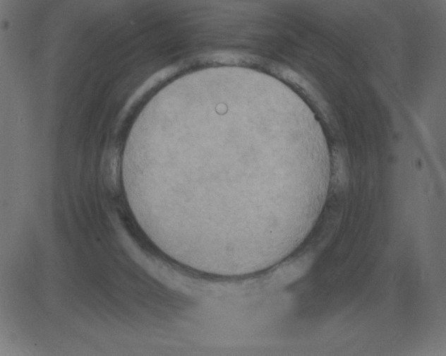 X0000081280016200702012230