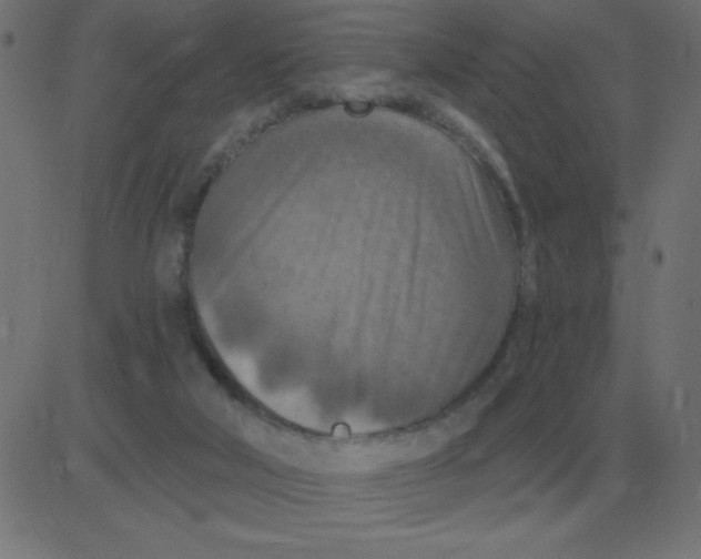 X0000081280018200702012230