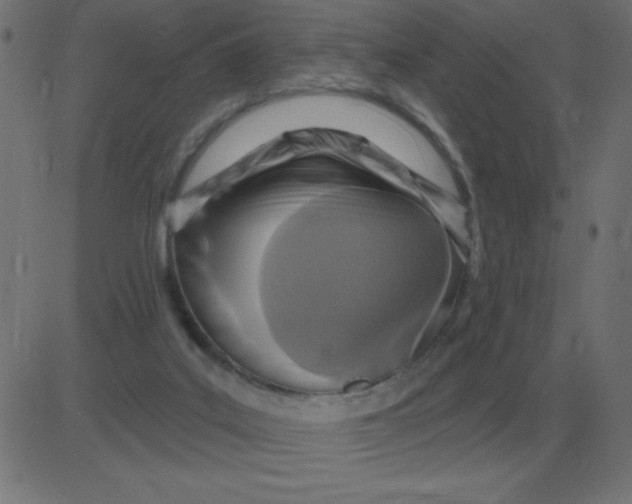 X0000081280019200702012230