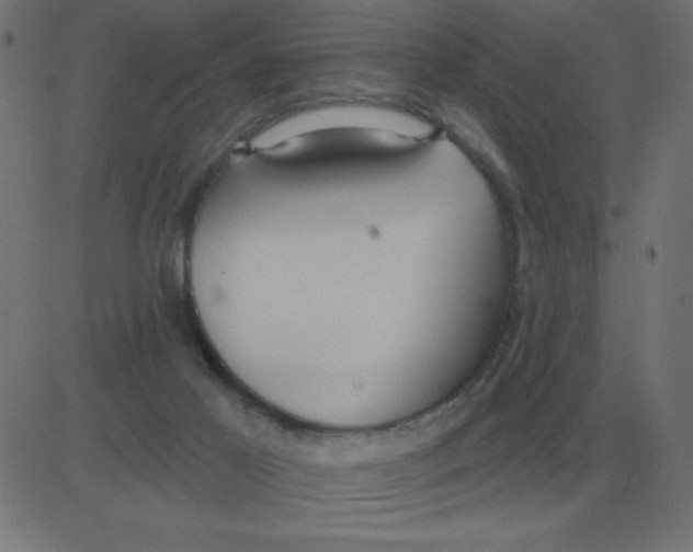 X0000081280021200702012230