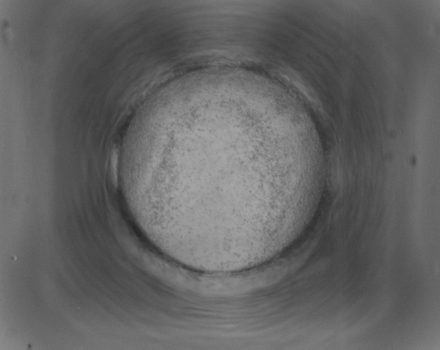 X0000081280022200702012230