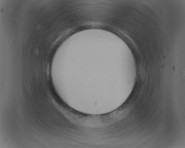 X0000081280024200702012230