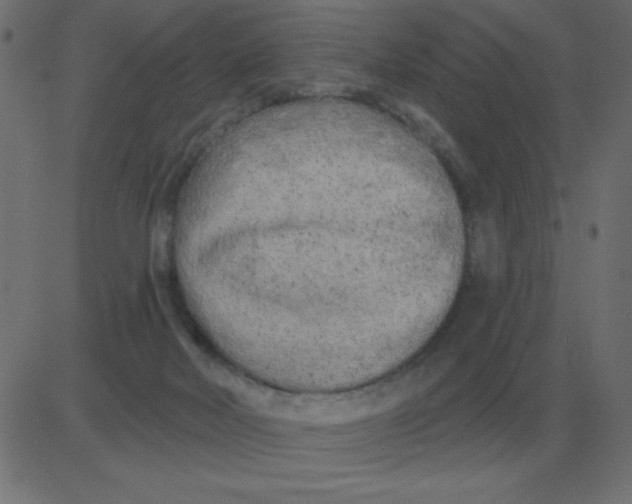 X0000081280026200702012230