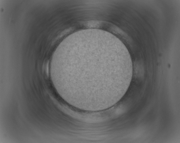 X0000081280028200702012230