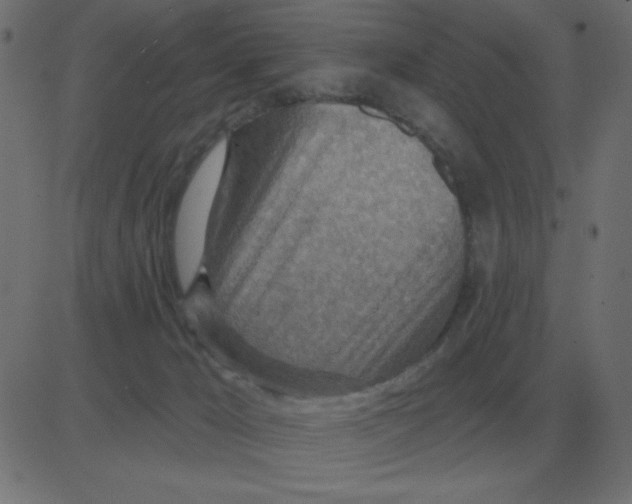 X0000081280029200702012230