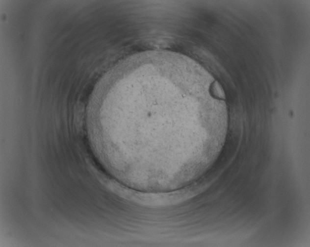 X0000081280030200702012230