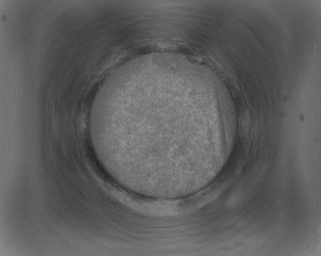 X0000081280032200702012230