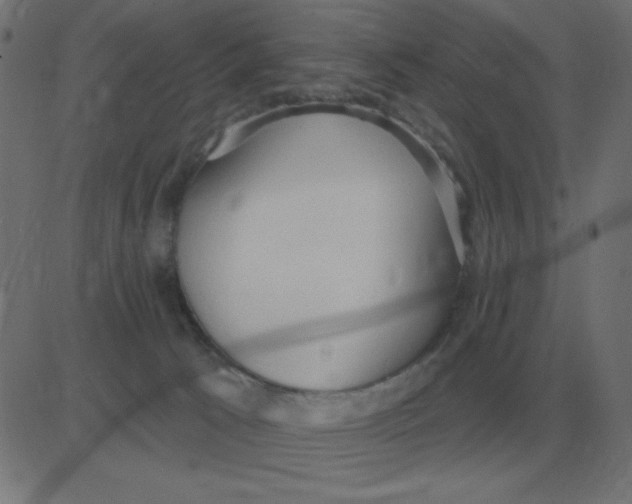 X0000081280033200702012230