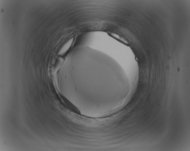 X0000081280035200702012230