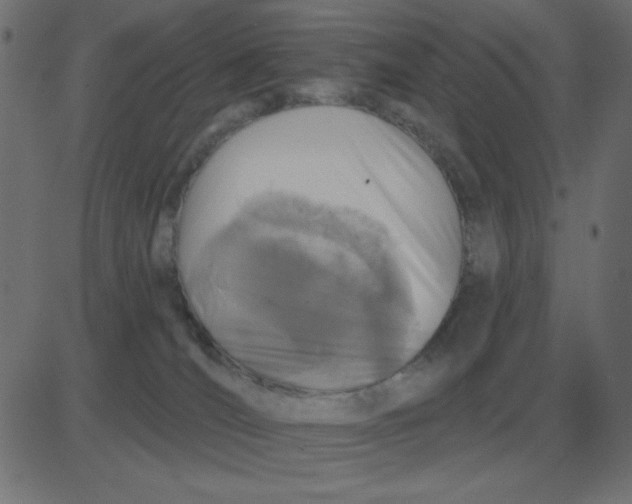 X0000081280036200702012230