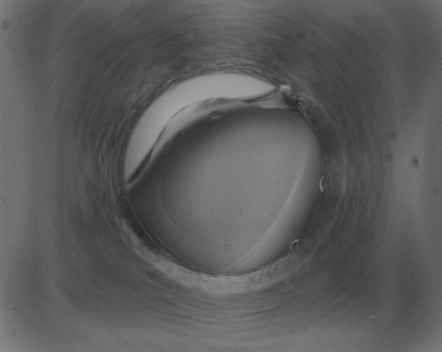 X0000081280039200702012230