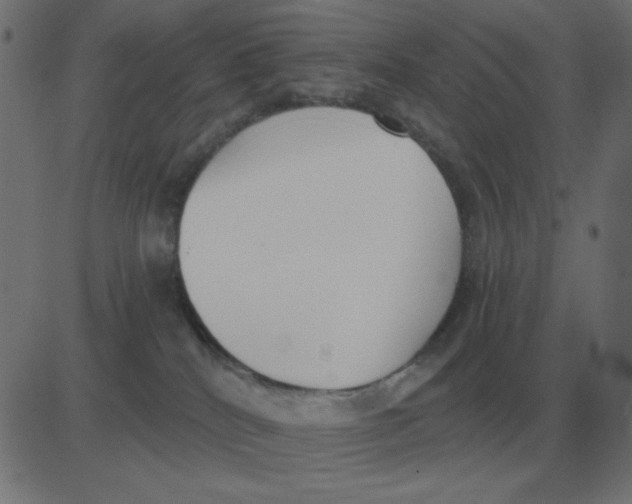 X0000081280040200702012230