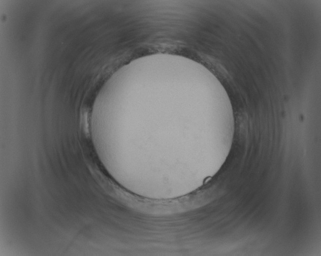 X0000081280042200702012229