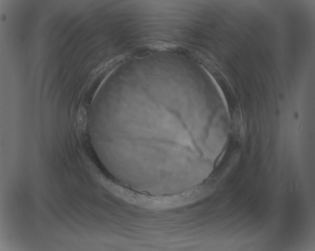 X0000081280043200702012229