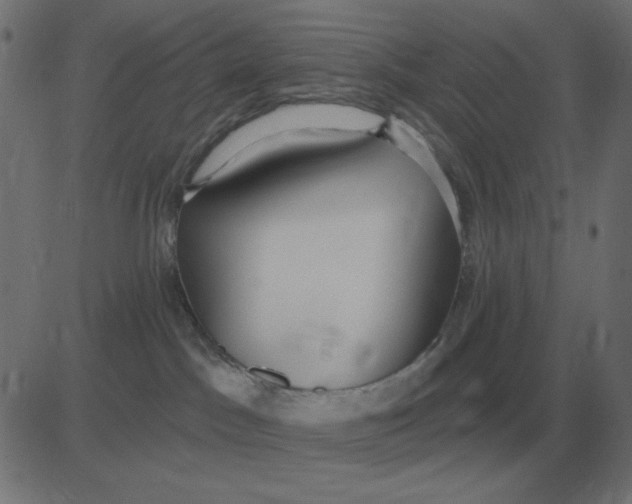 X0000081280045200702012229