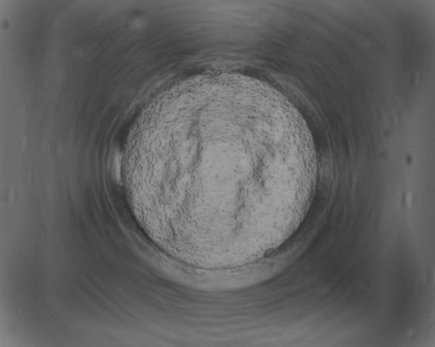 X0000081280046200702012229