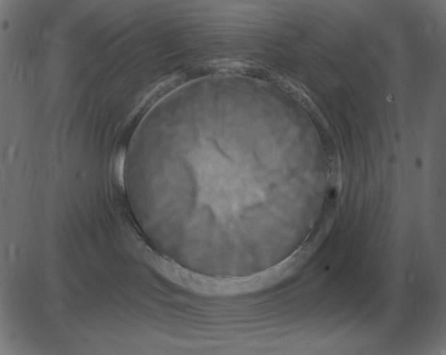 X0000081280047200702012229