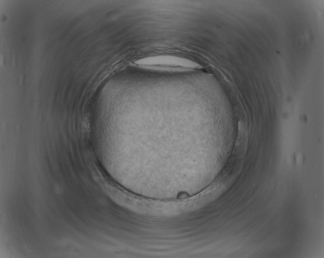 X0000081280048200702012229