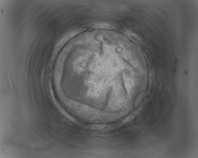 X0000081280049200702012229