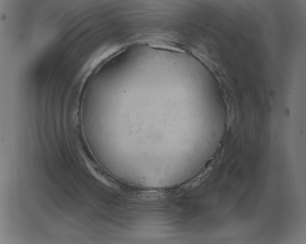 X0000081280050200702012229