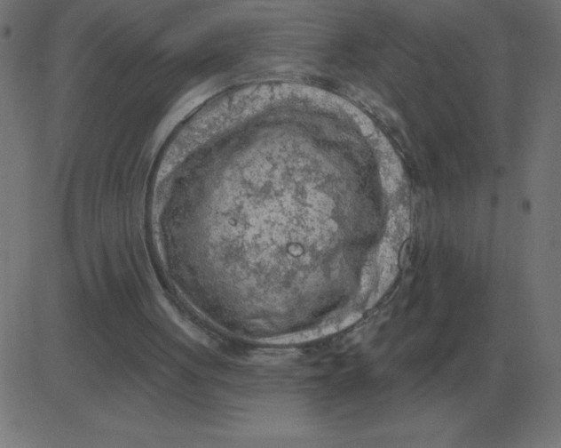 X0000081280051200702012229