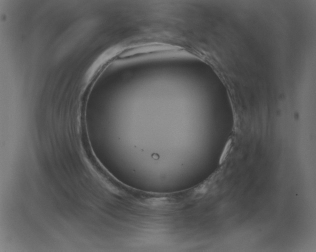 X0000081280054200702012229